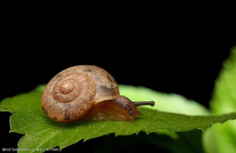 昆明搜索優(yōu)化整站優(yōu)化_seo引擎優(yōu)化_搜索引擎優(yōu)化