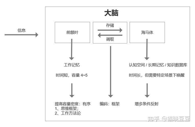 編碼信息屬于什么類信息_信息編碼中編碼是指_什么是信息編碼