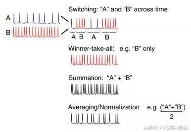 編碼信息屬于什么類信息_什么是信息編碼_信息編碼中編碼是指