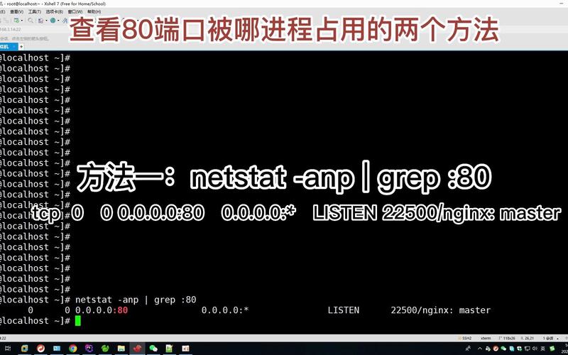 linux通過端口查看進程_linux根據端口號查看進程_根據端口號查進程linux