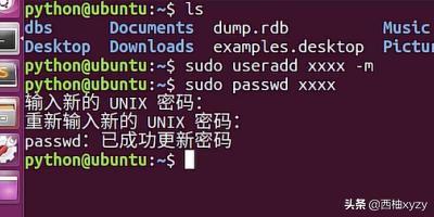 linux進入當前用戶的主目錄_進入當前目錄的命令_進入用戶主目錄的命令是