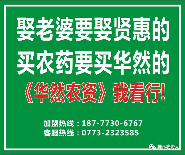 電信號虛擬號段_電信手機卡虛擬號_電信177是虛擬手機號嗎