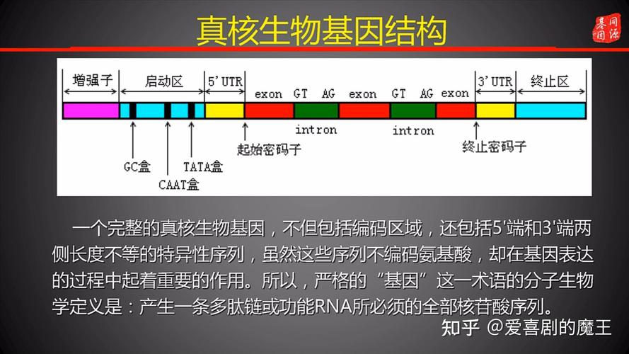 識(shí)別能庫(kù)格式數(shù)據(jù)的方法有_識(shí)別能庫(kù)格式數(shù)據(jù)的軟件_不能識(shí)別的數(shù)據(jù)庫(kù)格式