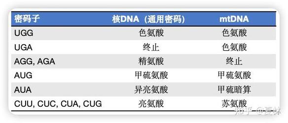 密碼子為什么有偏好性_密碼子偏好性的意義_偏好設置密碼是幾位